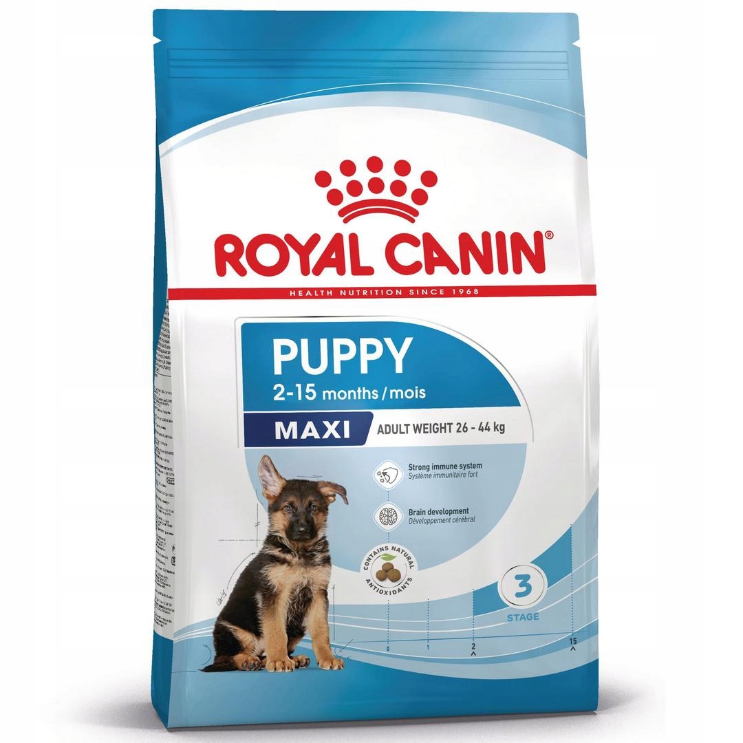 Royal Canin Maxi Puppy 15kg Karma Sucha Dla Szczeniąt Ras Dużych