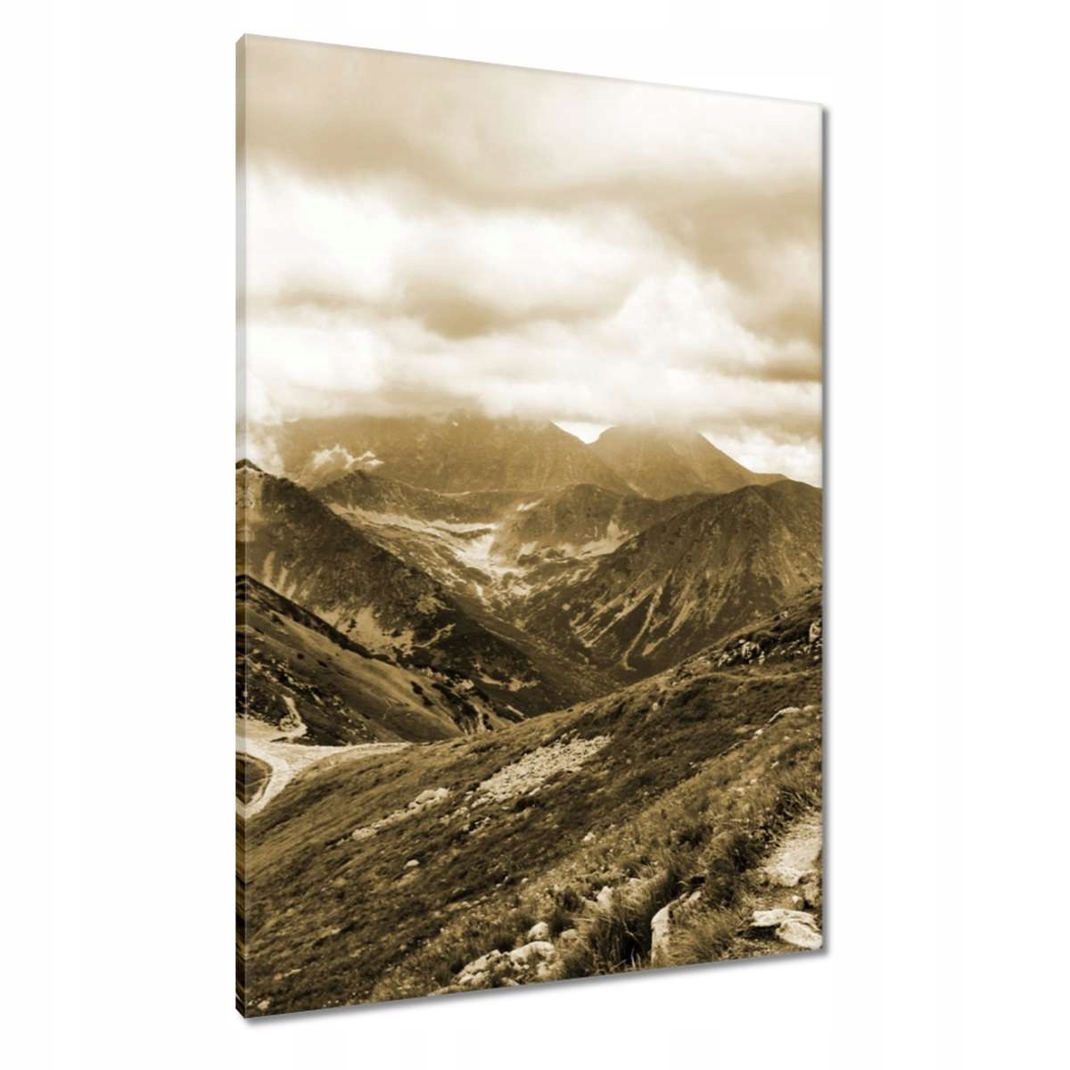 Obrazy 70x100 Tatry Polské hory Pohled