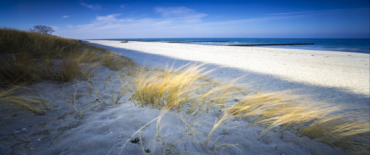 

Fototapeta Flizelinowa Morska plaża 250x104