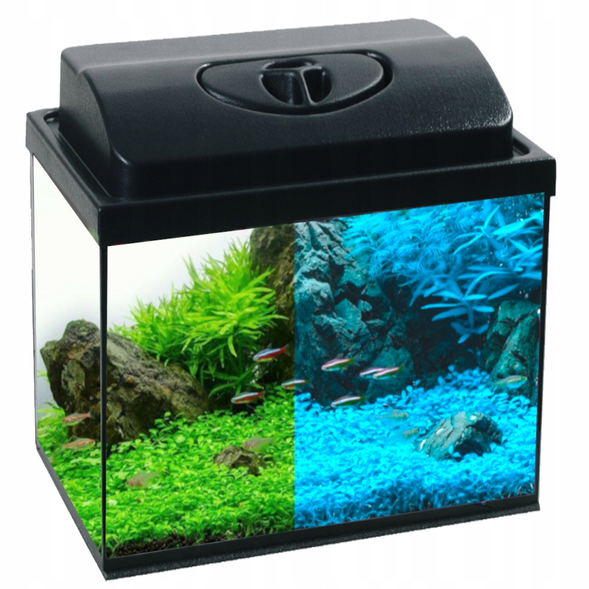 Akwarium 35L 40x25x35cm Proste Pokrywa Led DZIEN/NOC+4gratisy