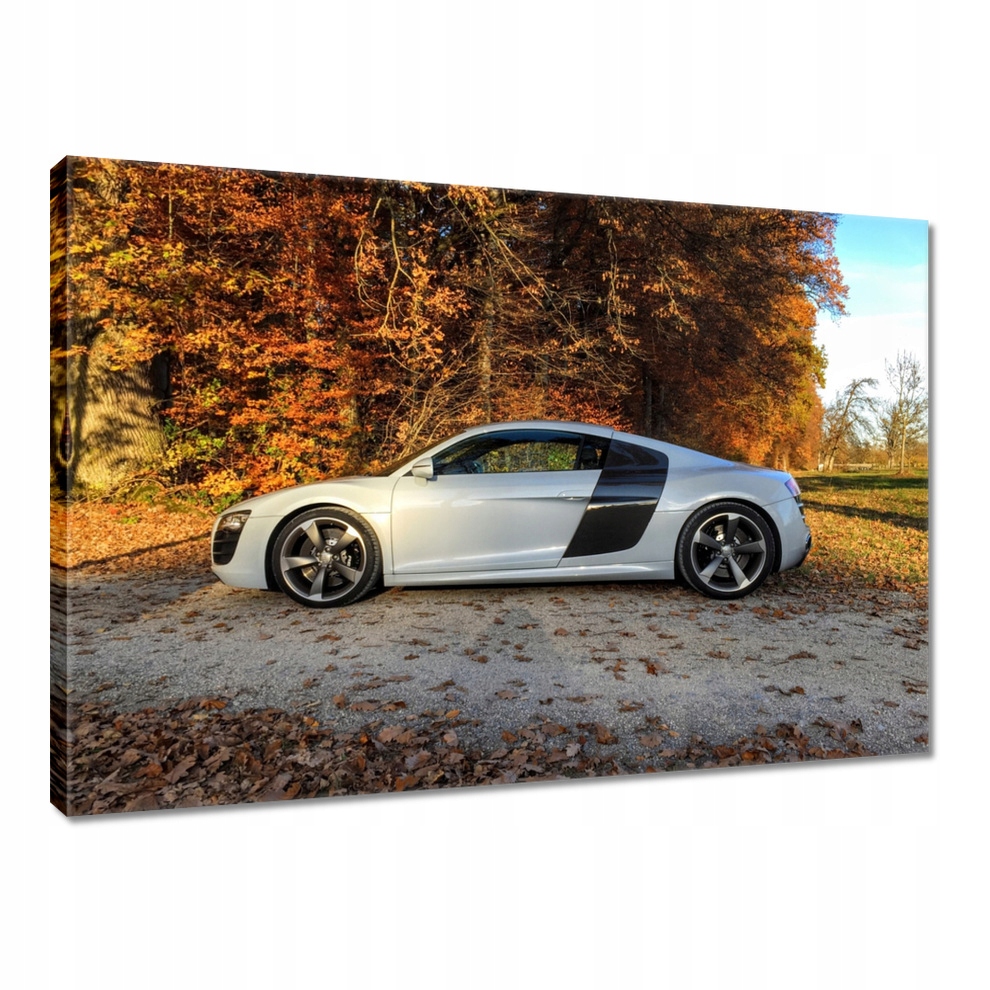 

Obraz 100x70 Białe Audi Tt
