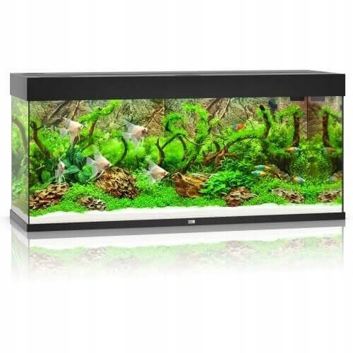 Juwel Rio 240 Led akwarium zestaw czarny