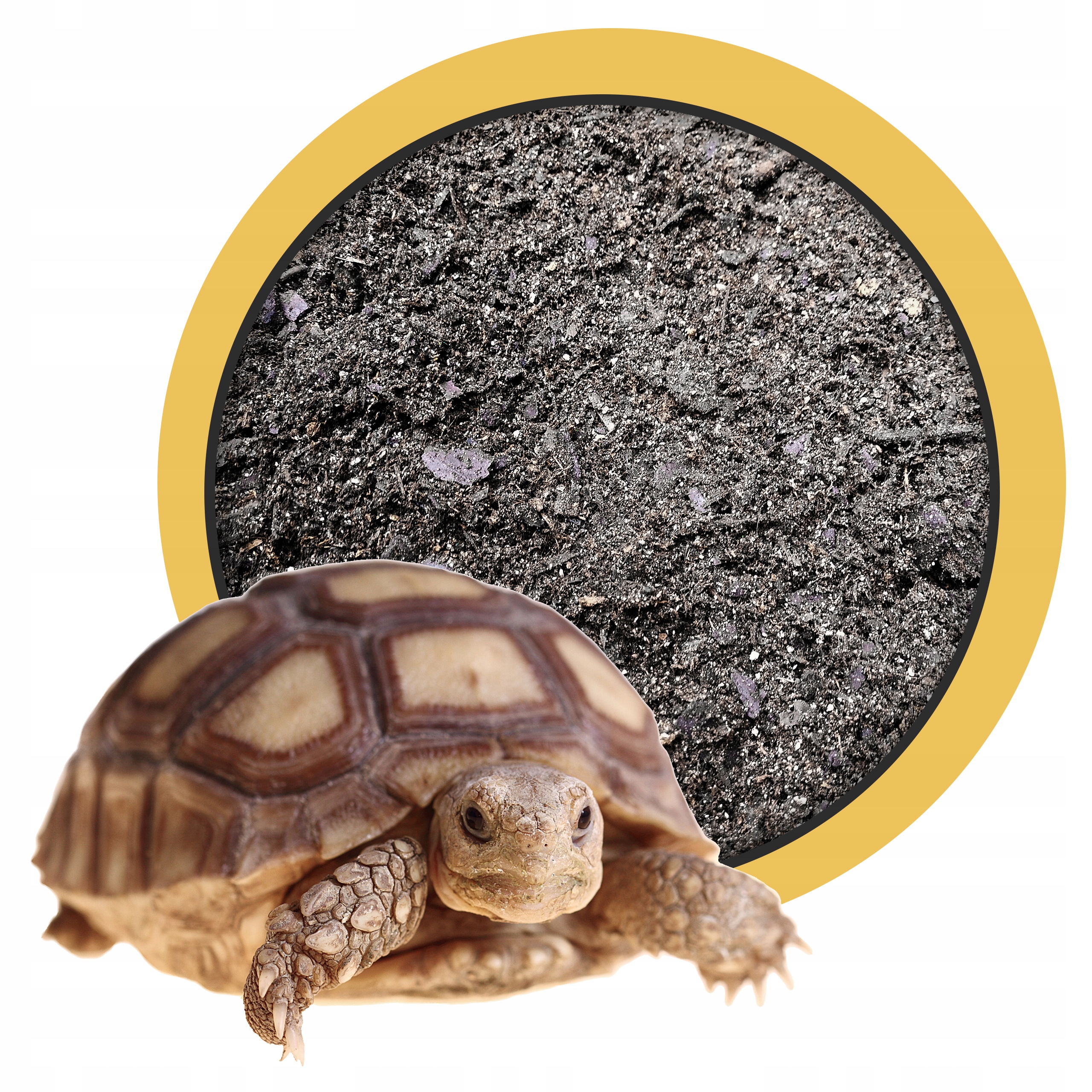 ff233a6b4c6a88666d48586c9f58