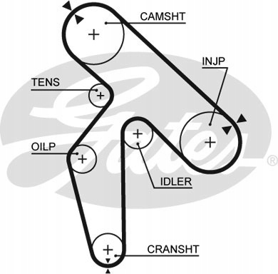 PASEK ROZRZĄDU GATES 5391XS Producent części Gates