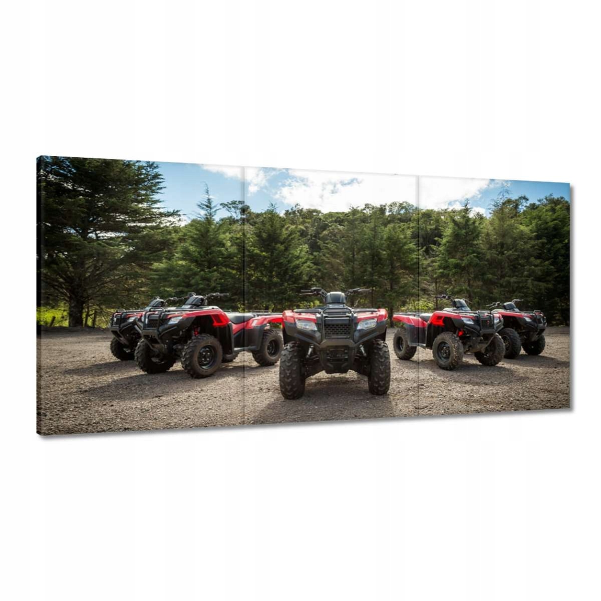 Obrazy 180x90 Quad Štyri kruhy Terén