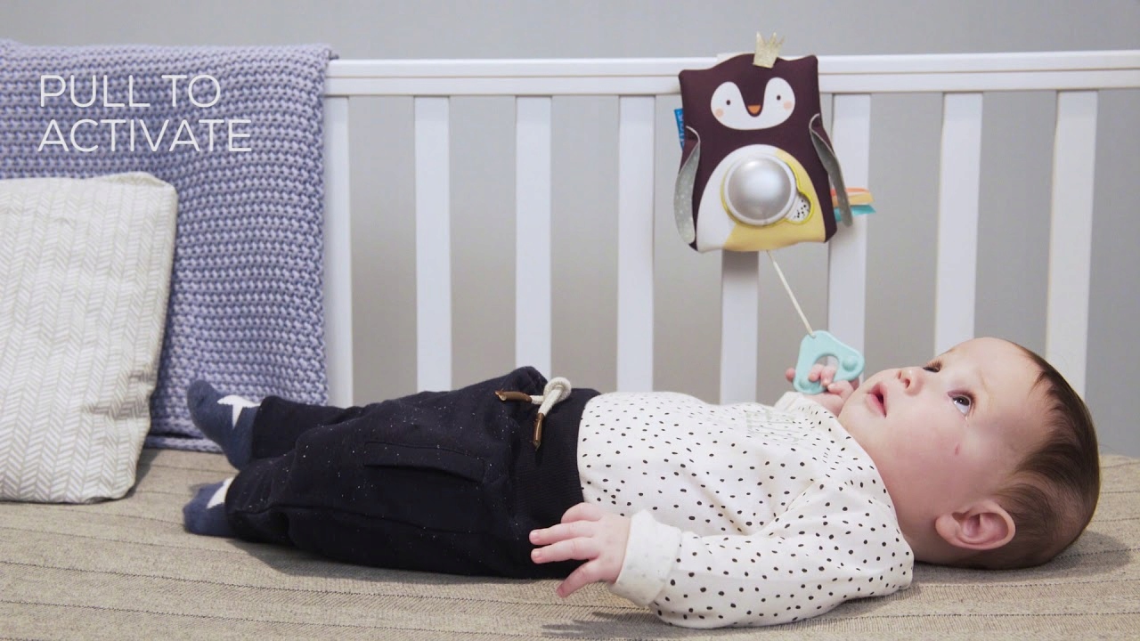 Taf Toys Lampka nocna interaktywna 0 m+ Pingwin Płeć chłopcy