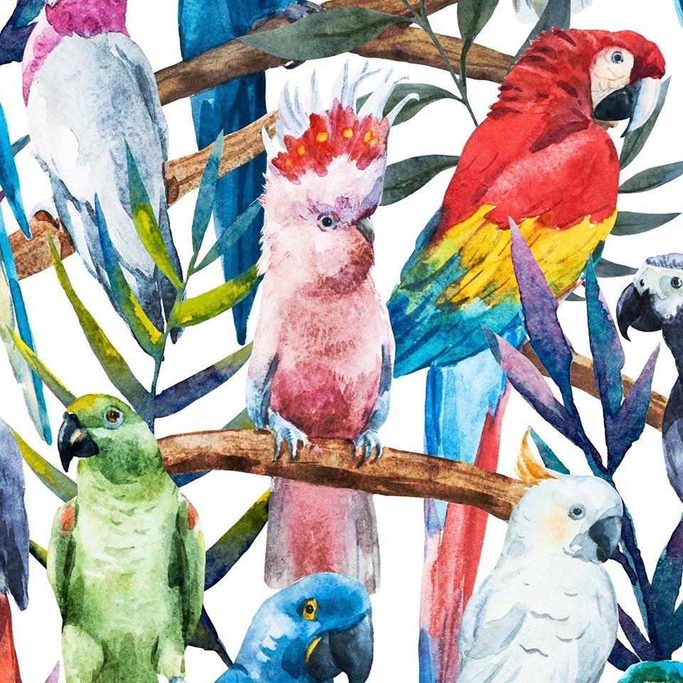 Welur tapicerski dekoracyjny Papugi