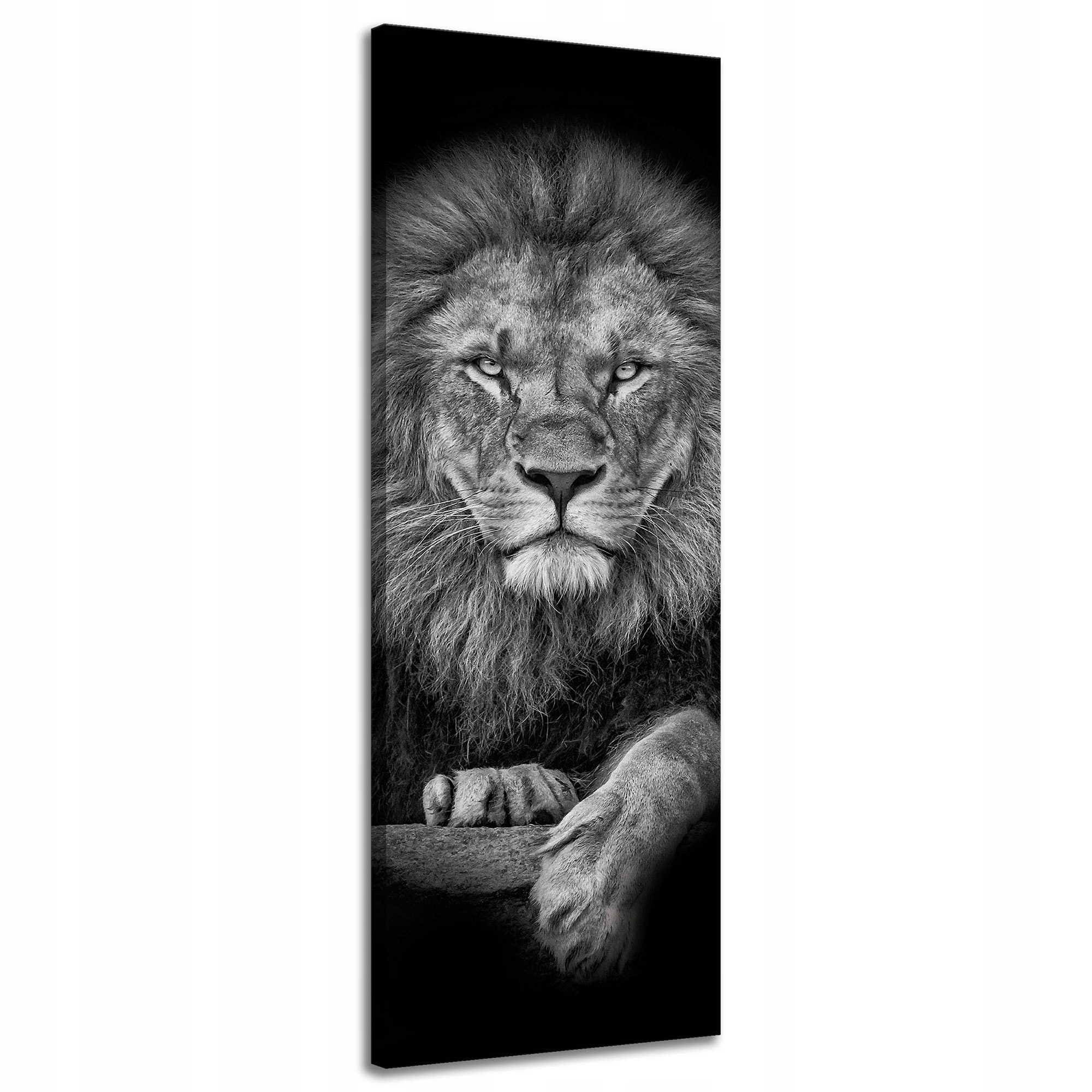 Obraz na plátně Šedá Lev Tvář Za Králem 40x120 cm Ideální jako dárek