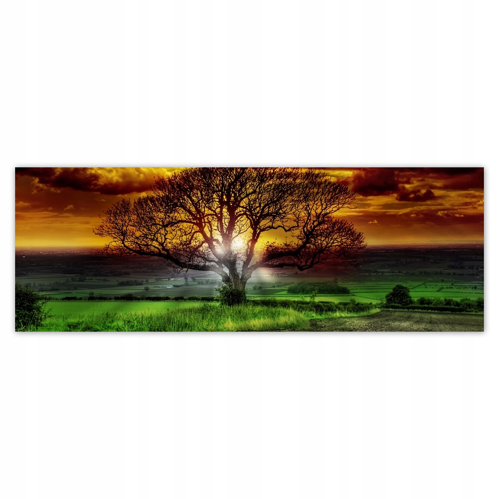 Fototapety flizelina 624x219 Magiczne drzewo