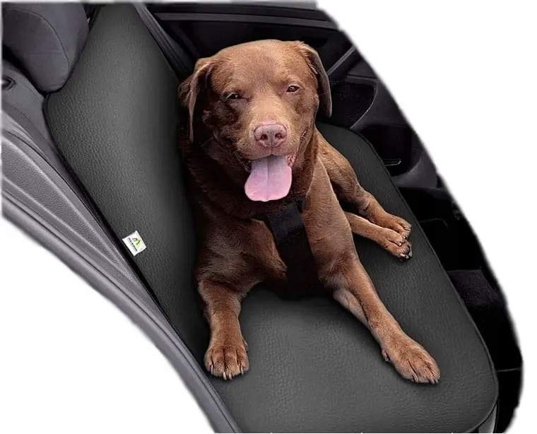 Levně Podložka pro psa do auta na sedadla, ekokůže