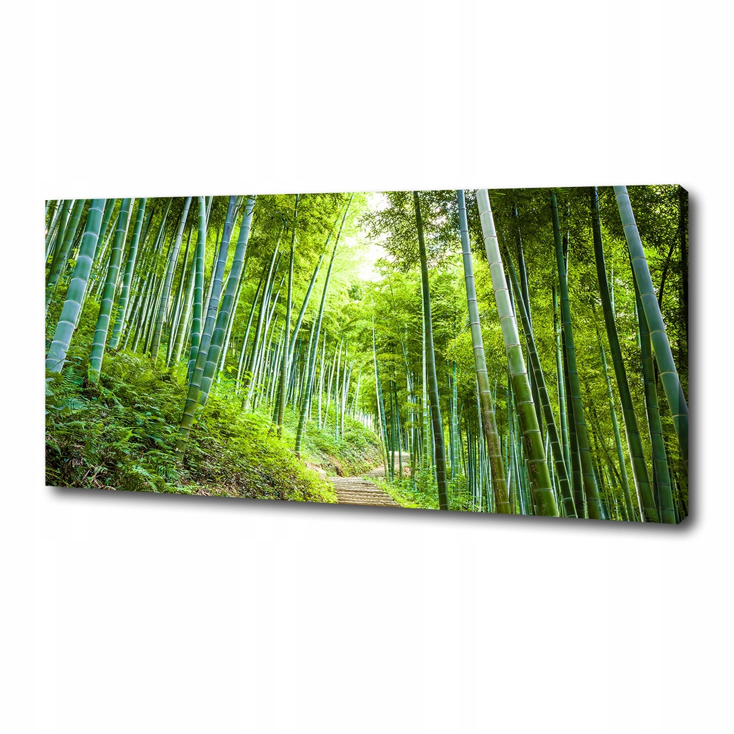 

Foto obraz na płótnie Las bambusowy 125x50 cm
