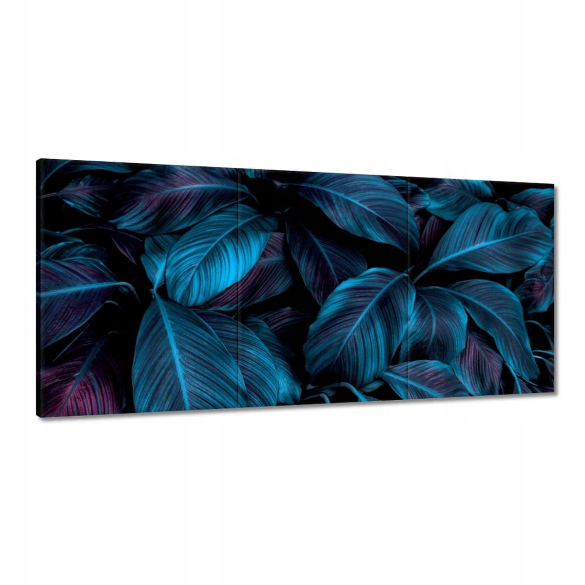 Obrazy 210x100 Krásne modré listy