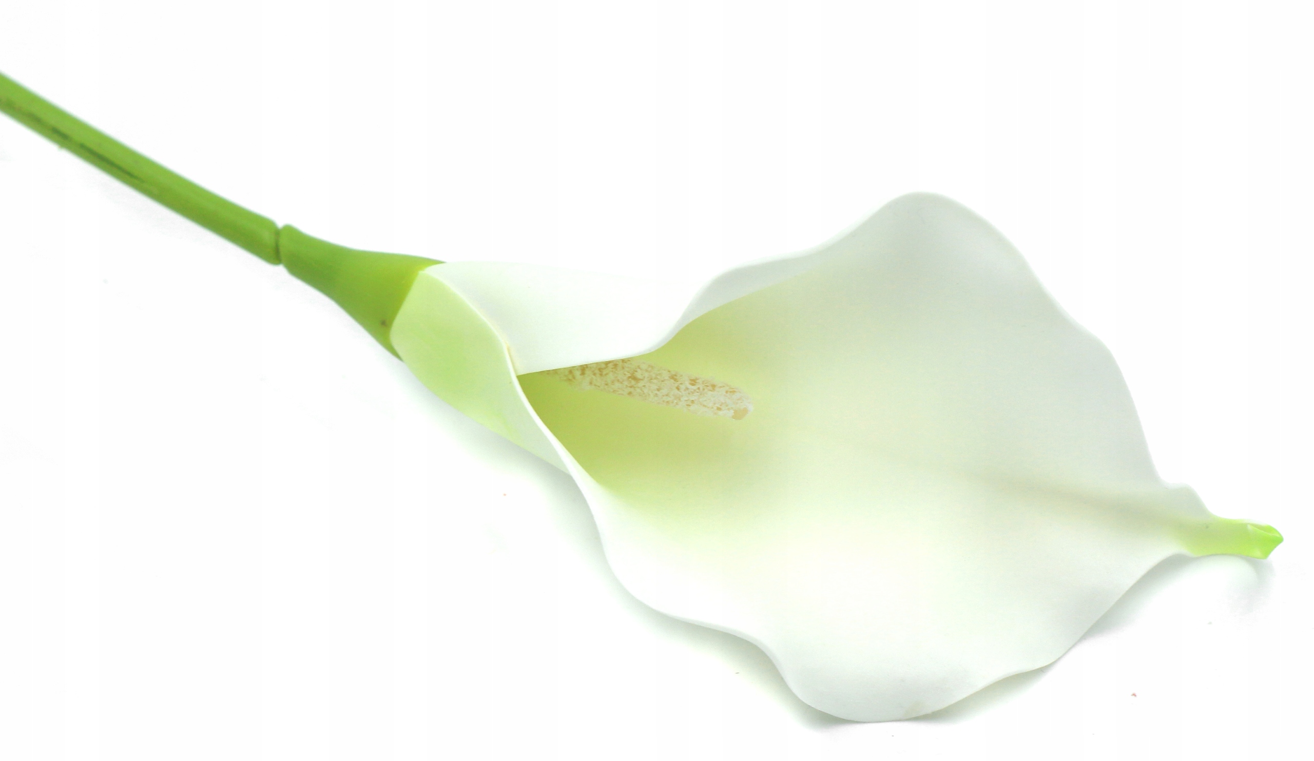 GAŁĄZKA KALIA KALLA BIAŁA PIANKOWA 62cm