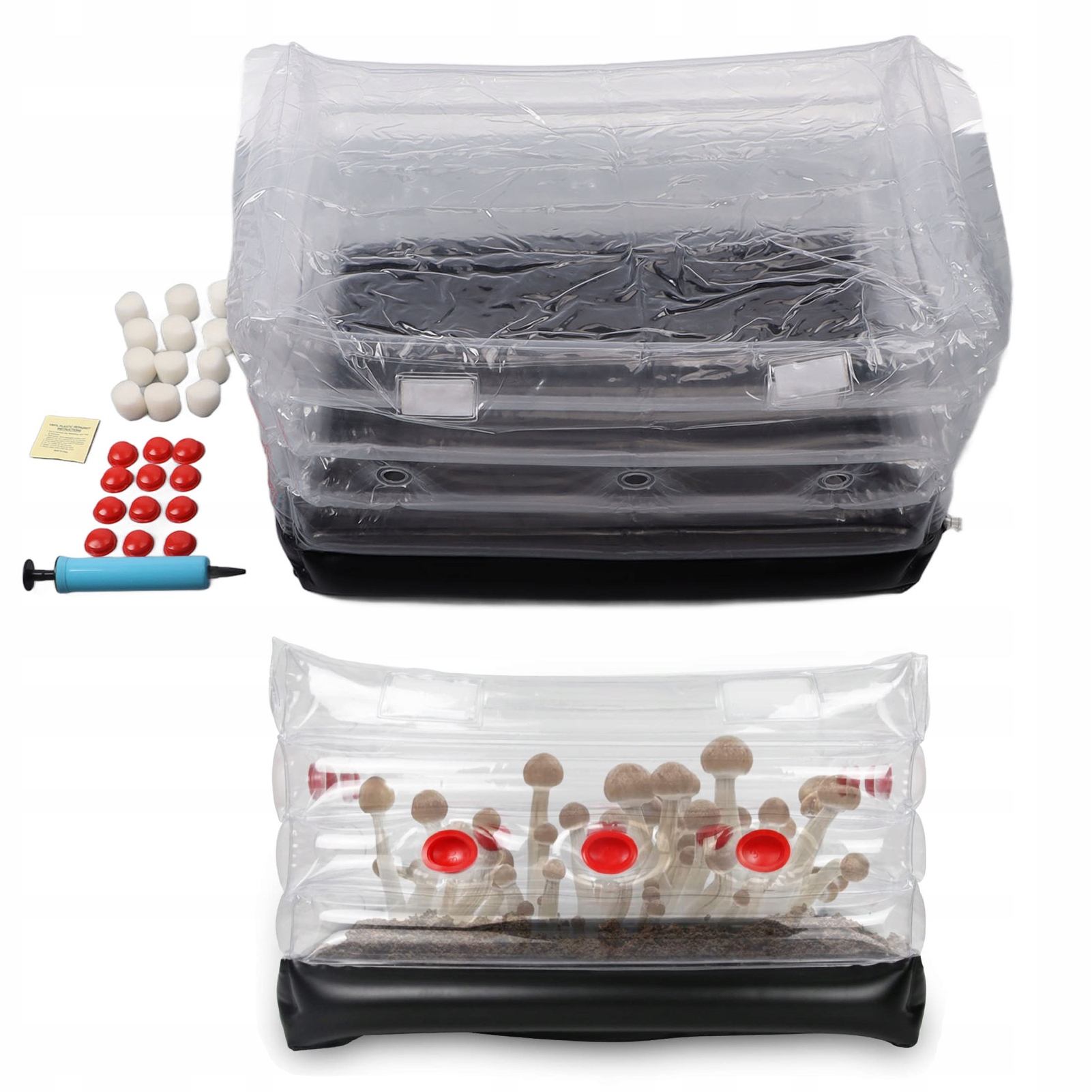 Pojemnik Do Uprawy Grzybów Nadmuchiwane Pudełko