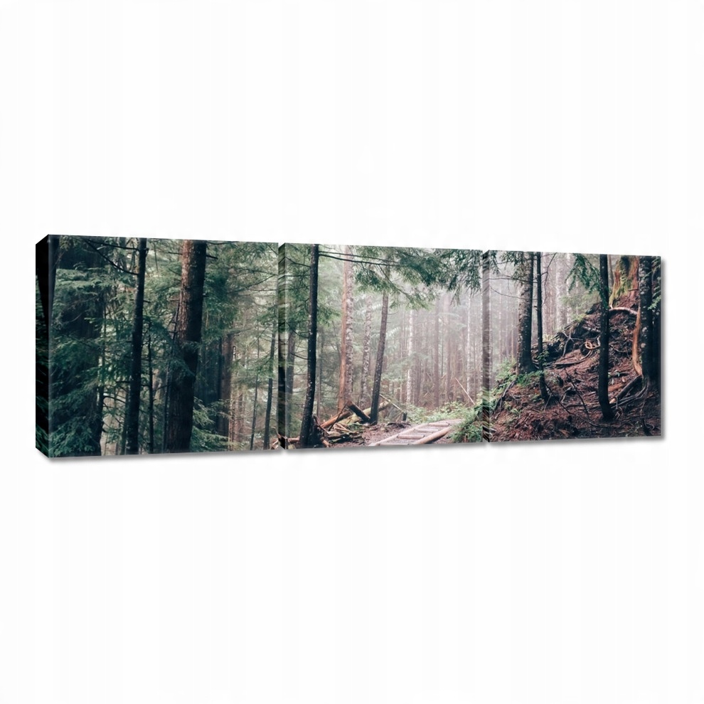 

Obrazy 60x20 Leśna ścieżka