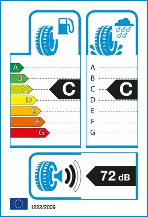 2x Tracmax 205/40R17 84V Ice Plus S210 XL Marka Tracmax