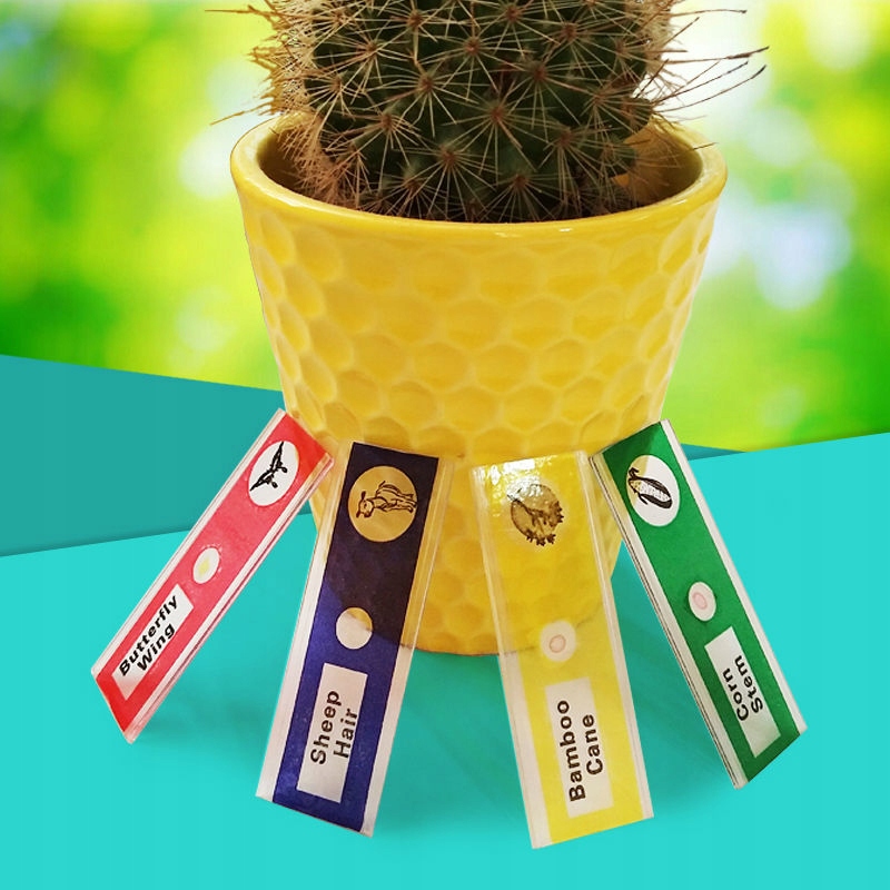 zestaw PREPARATY DO MIKROSKOPÓW dla dzieci 48 szt. Kod producenta 12RPH