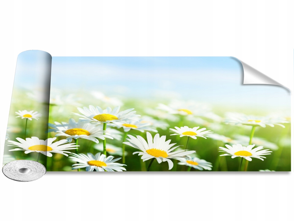 

Tapeta Samoprzylepna Stokrotka Zielony - 250x104