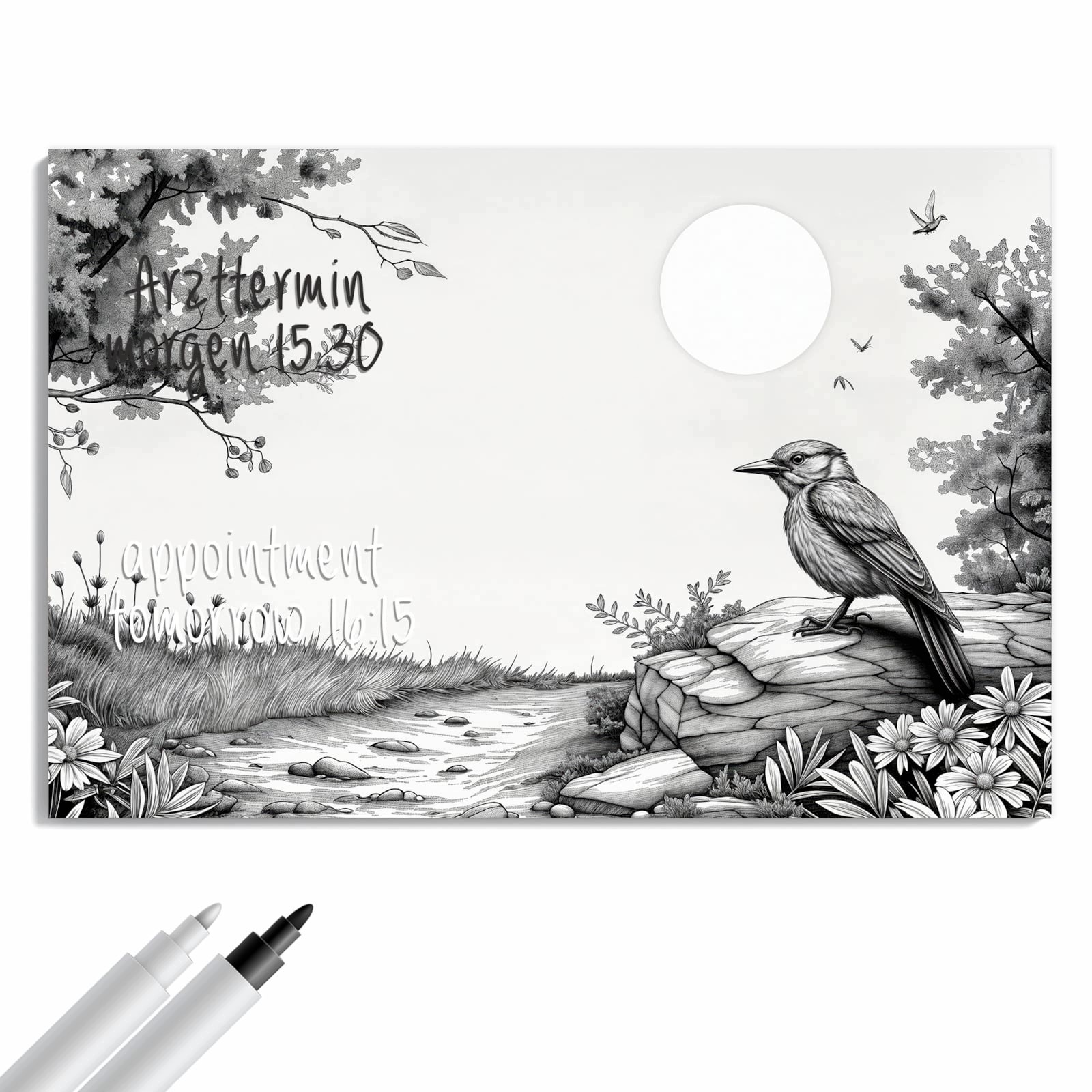 Magnetická tabule Příroda Ilustrace 90 × 60 cm