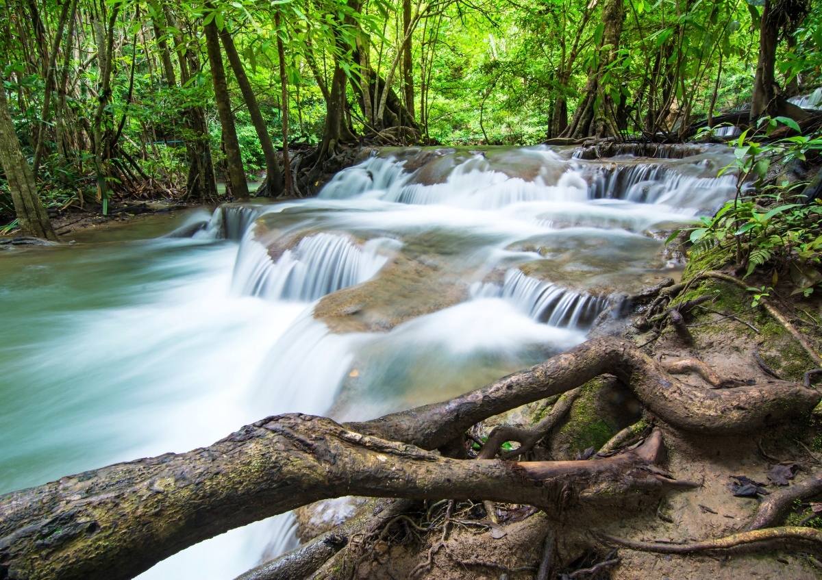 

Fototapeta Flizelinowa Wodospad w lesie 208x146