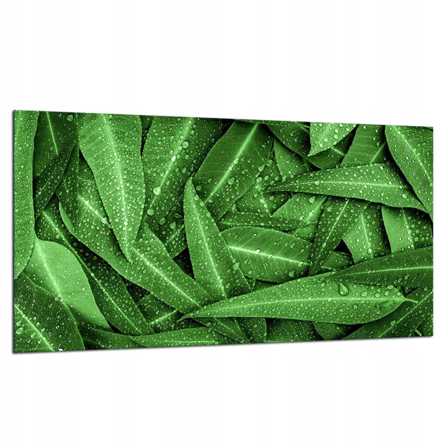 7v1 Skleněná Ochranná Deska Na Sporák 90X52 Zelená