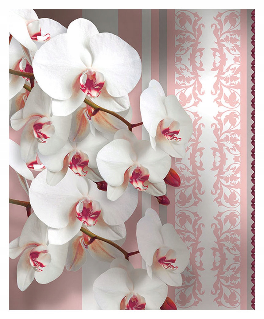 Fototapeta Orchidey bielo-ružové, moderné vinylové 184x254 lepidlo