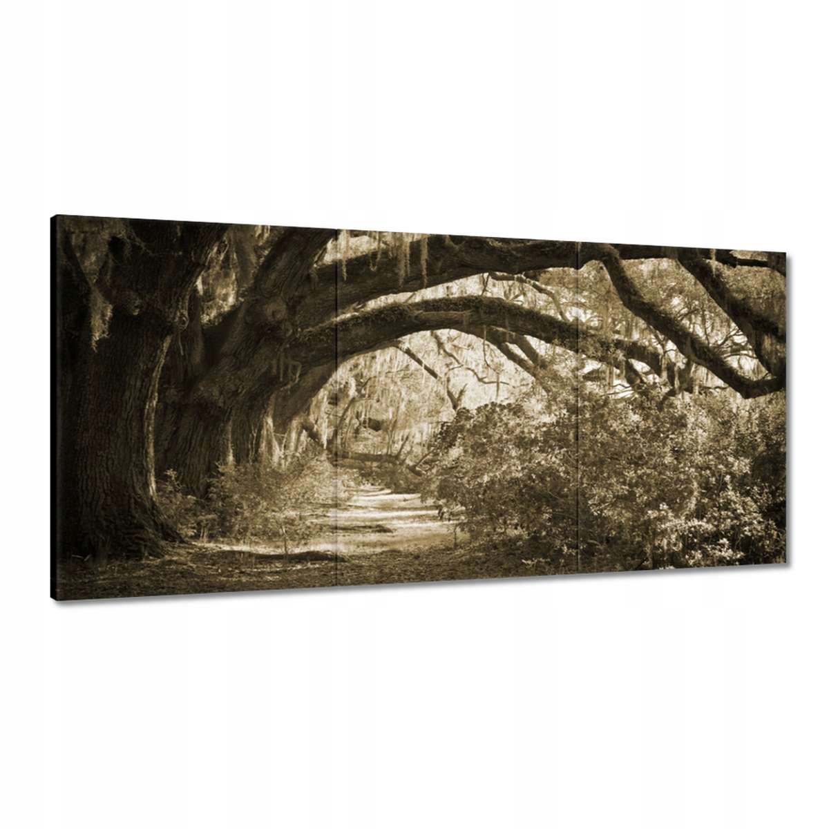 Obrazy 180x90 Duby v parku Sépia