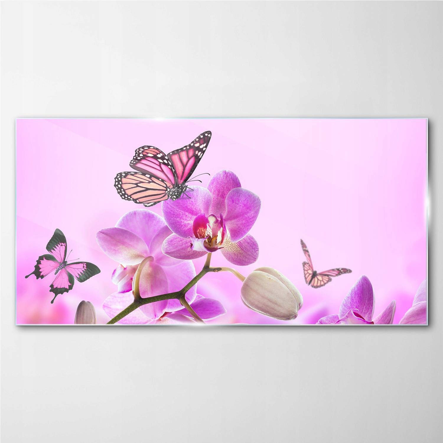 

Foto-obraz szklany Kwiaty natura motyl 140x70 cm