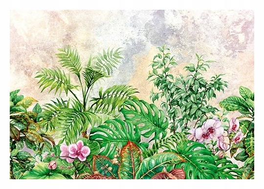 Fototapeta Listy papradia Monstera Beton 312x219