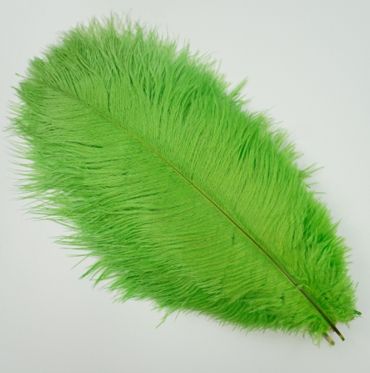 

Jasno Zielone Pióro piórka dekoracyjne