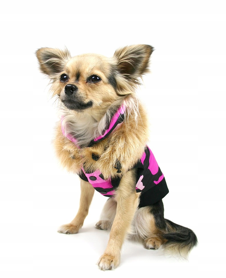 Levně Zimní vesta pro psa Eskimo M Pomeranian, Szpic, York, Papillon