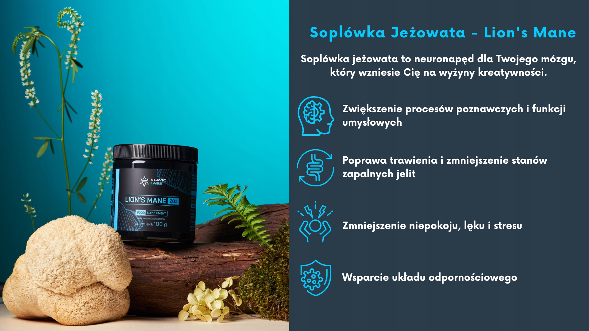 Lion's Mane - Soplówka Jeżowata DER 20:1 30g Marka Inna