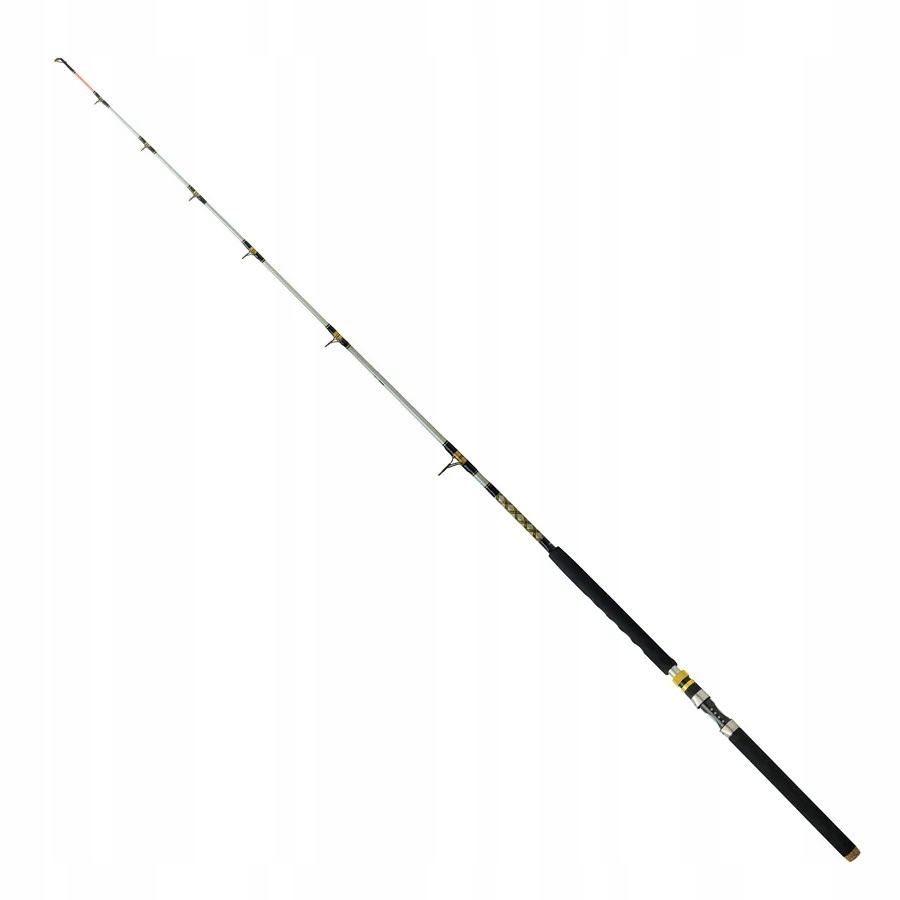 Robinson Wędka Siluro Spin 2,40m 100-400g