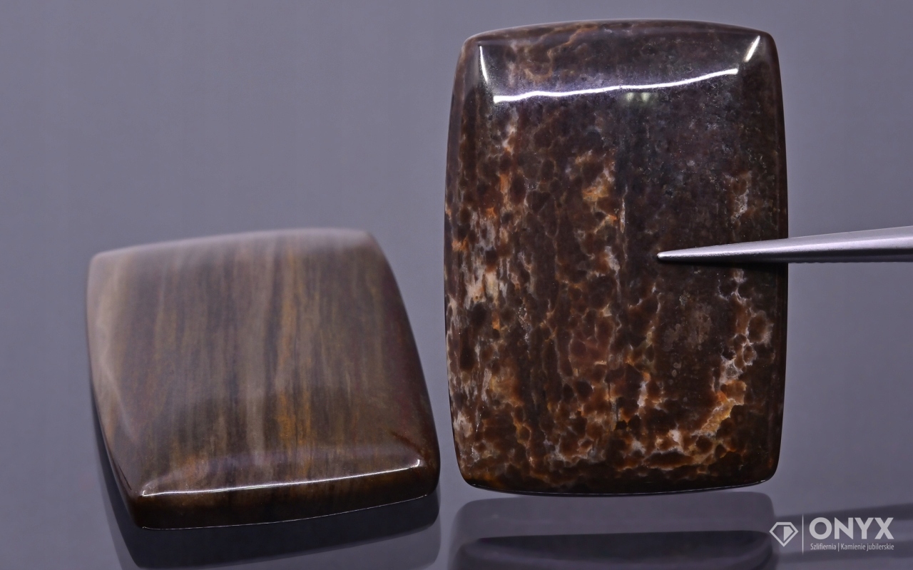 Zkamenělé dřevo nízký kabošon cushion 35,5x25 mm