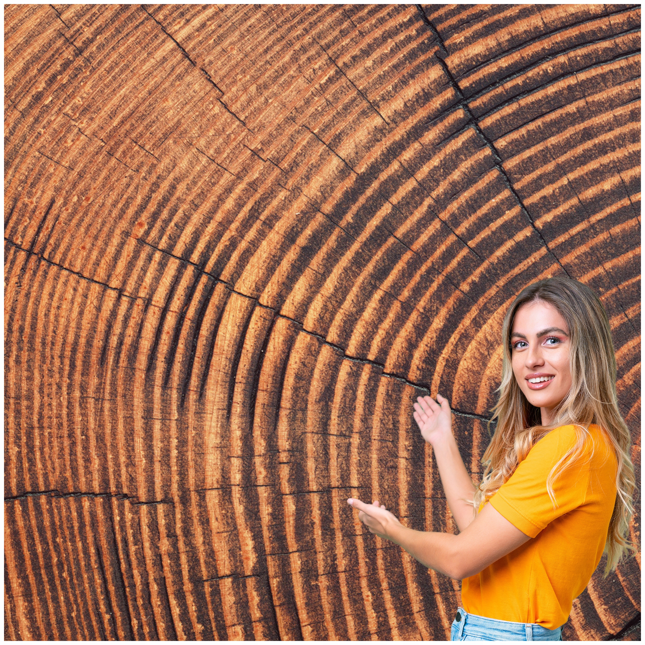 Fototapeta 3D Pozadí Textura Dřevo Průřez Sloje 588x280 TLA14F