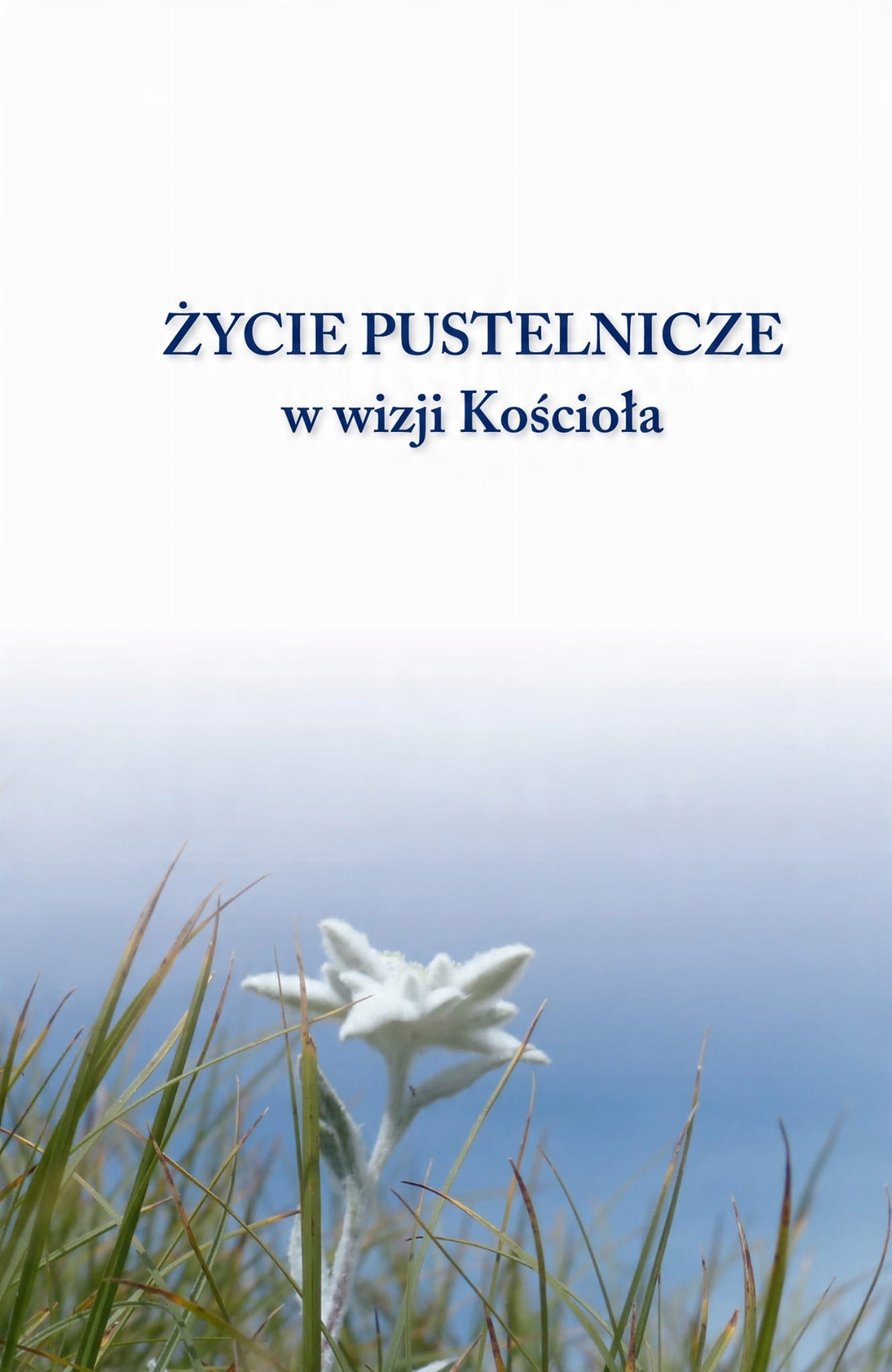 

Życie pustelnicze w wizji Kościoła
