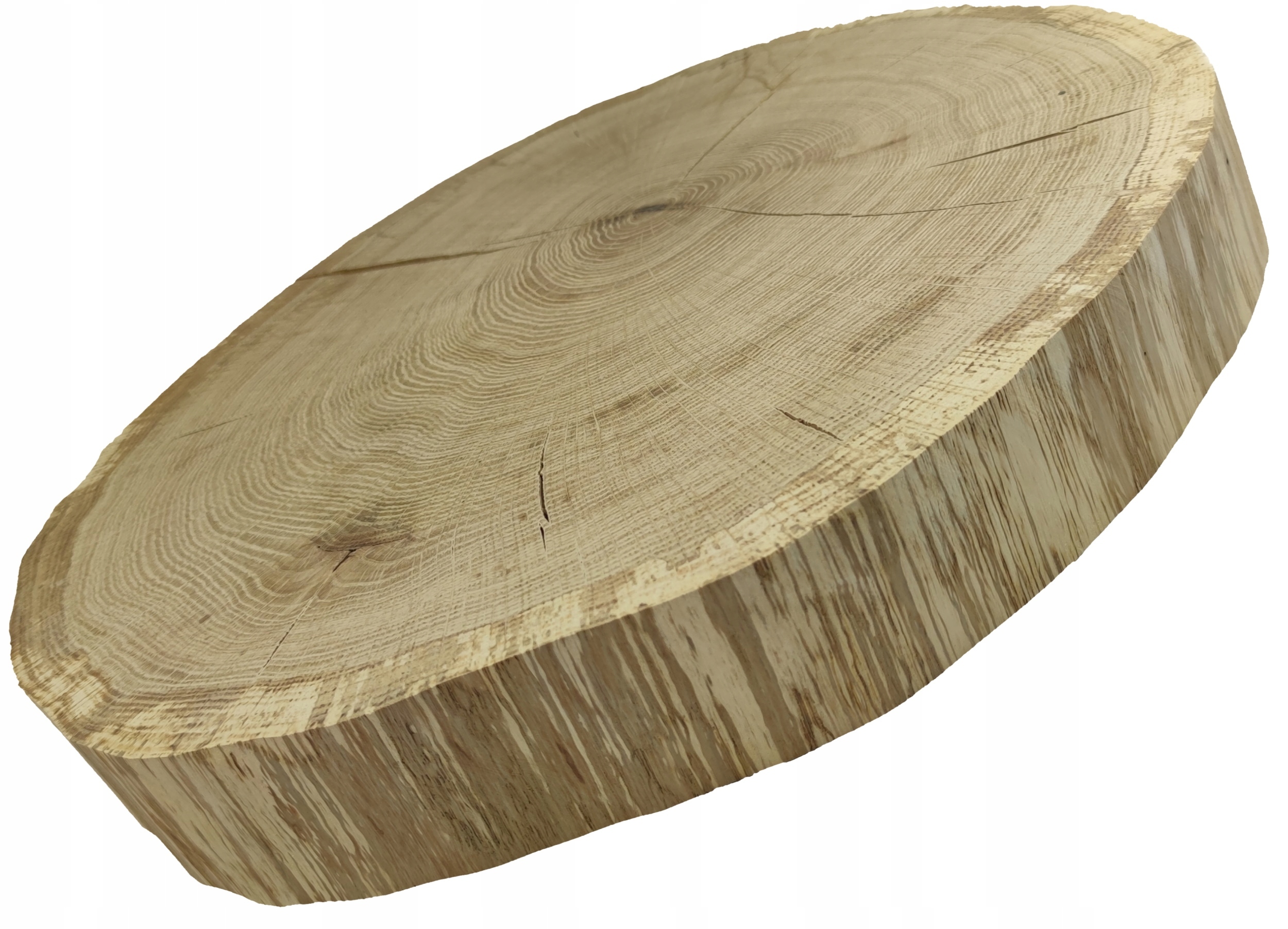 Okorowany Plaster Dębu 45-50cm gr. 5cm szlifowany plaster dąb krążek drewno Kod producenta PDOD_4550X50_DNL