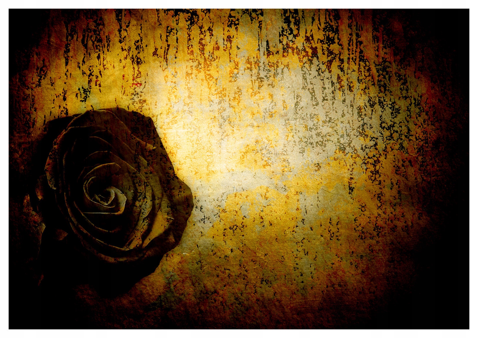 Tapeta Zvadlá Růže Vintage Grunge Klid Vybledlá Krása 368x280 lepidlo