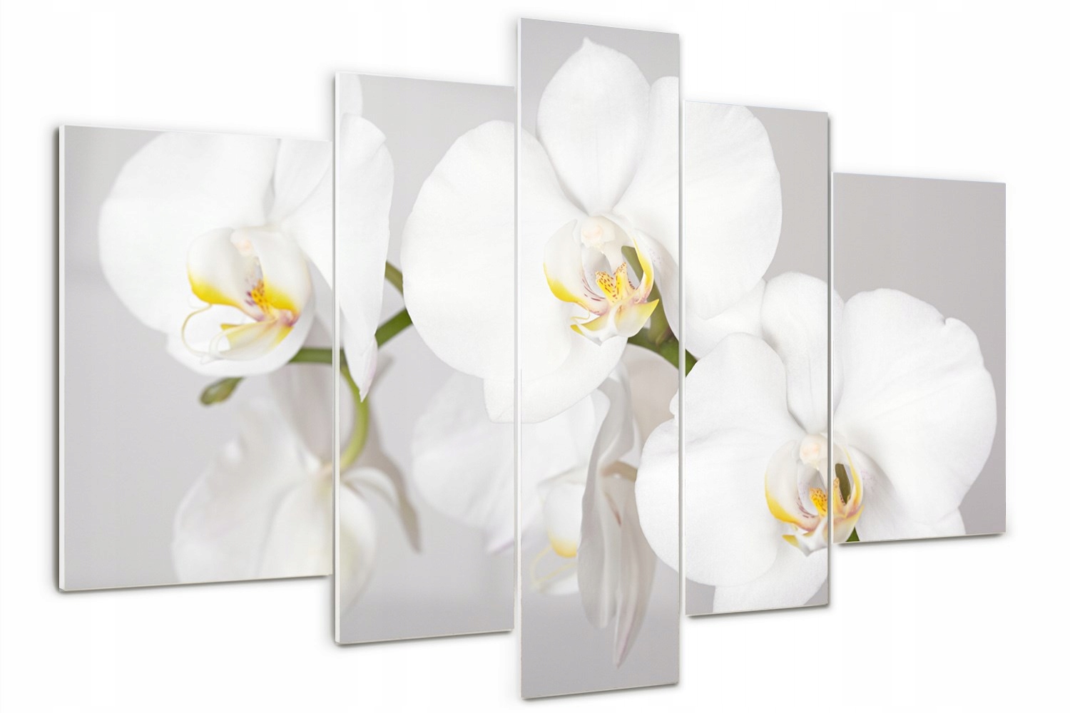 

Foto Obraz szklany tryptyk nowoczesny Orchidea