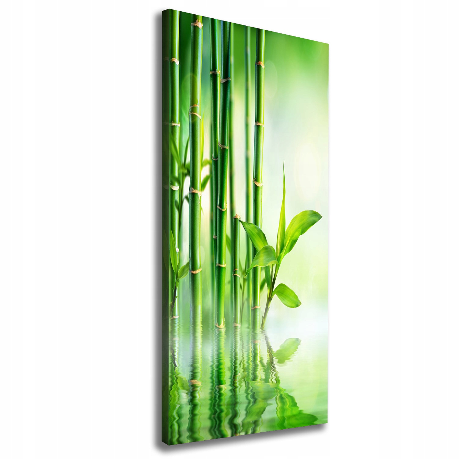 

Foto obraz na płótnie Bambus w wodzie 50x125 cm
