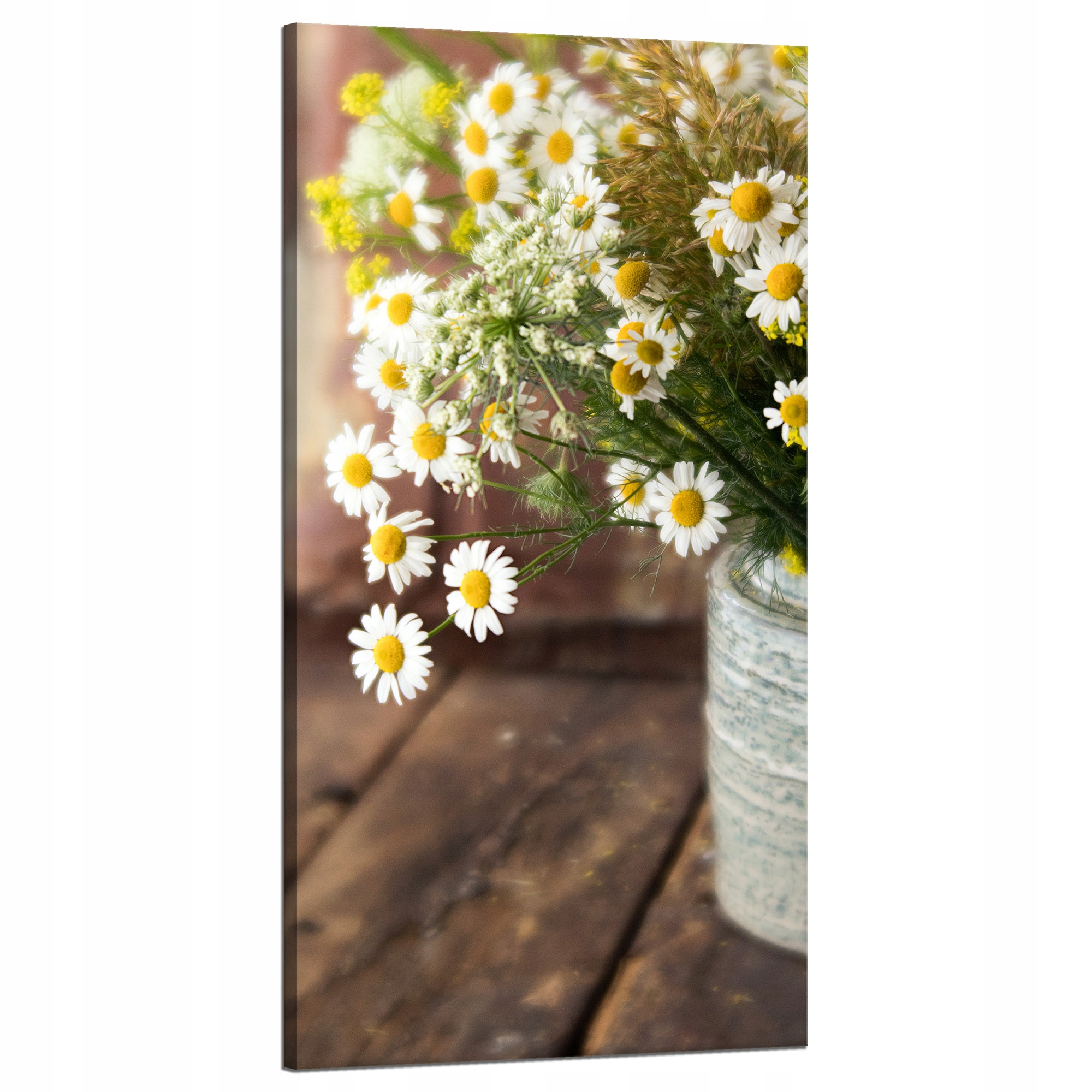 Obraz na plátně Botanika Kytice heřmánku 60x120