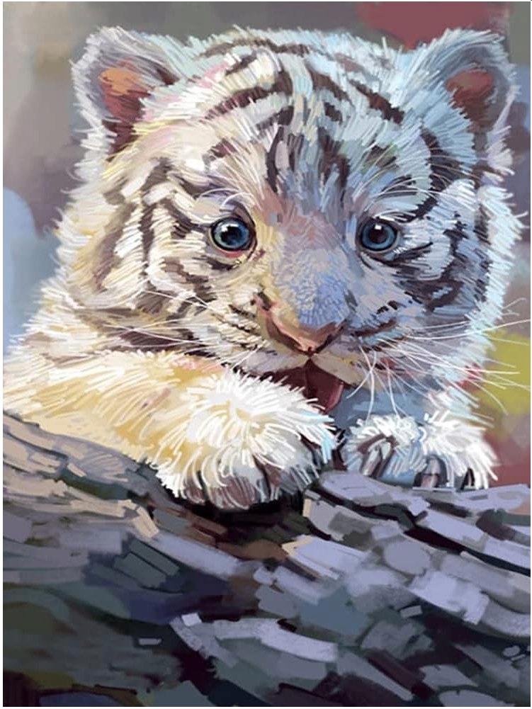 Malowanie Po Numerach Obraz do malowania NA RAMIE