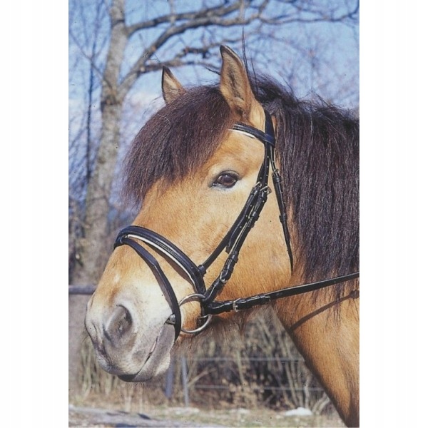 Ogłowie Covalliero 01 angielski 1 (pony)