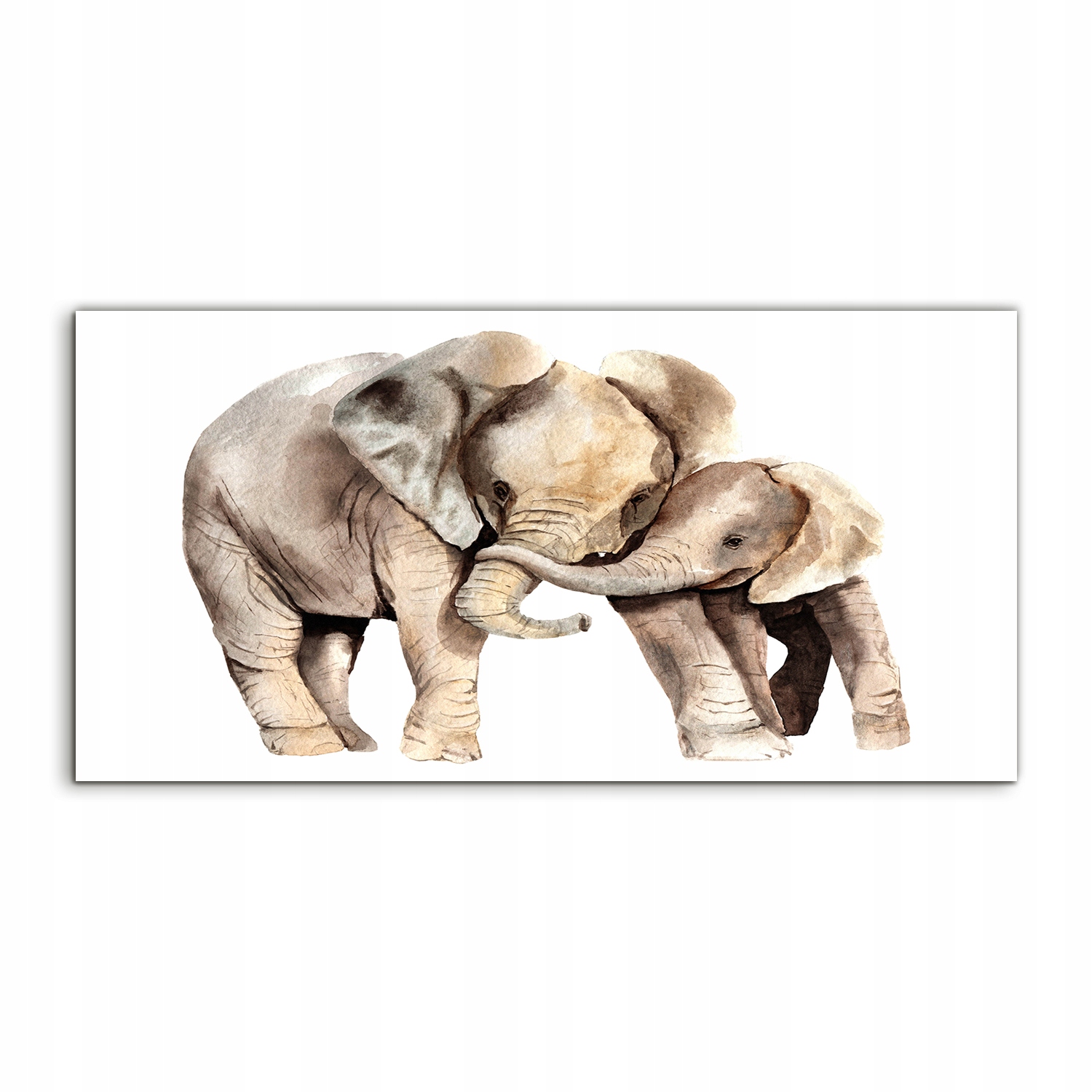 

Obraz akryl 120x60 na prezent Akwarele Afryka Słoń