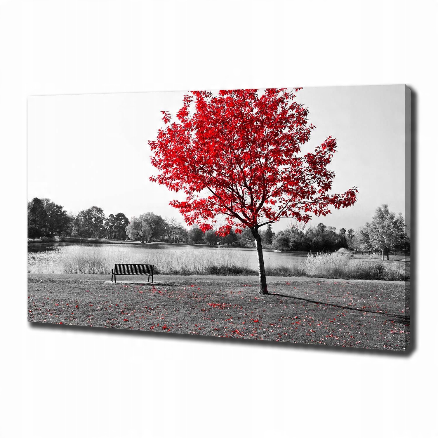 

Foto obraz na płótnie Czerwone drzewo 100x70 cm