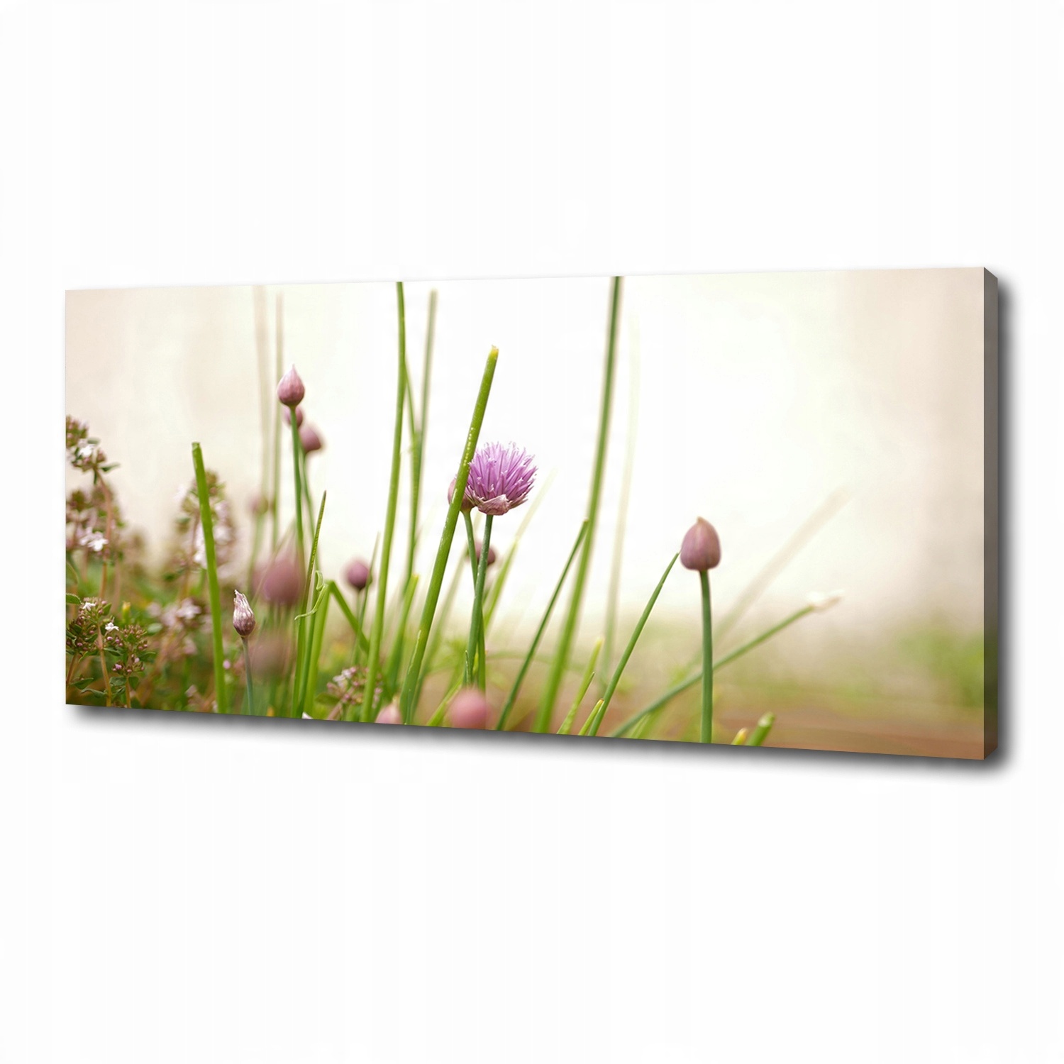

Foto obraz canvas na ścianę Szczypiorek 125x50 cm