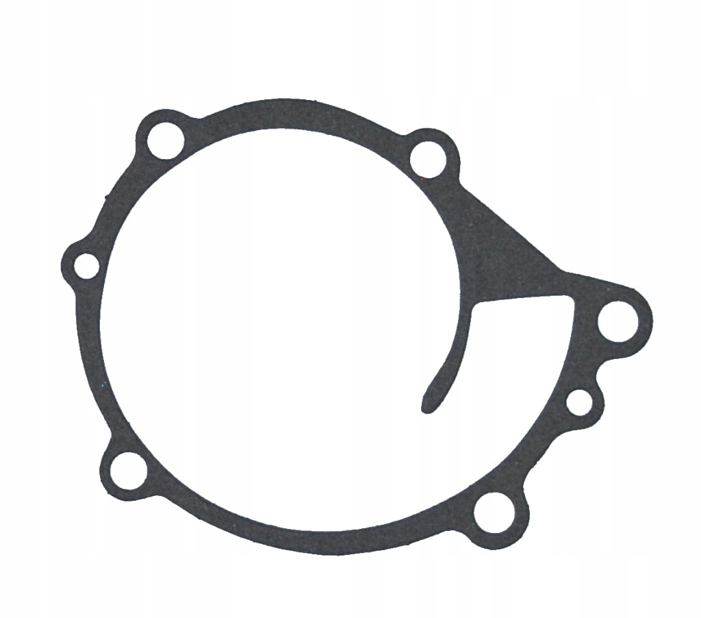 USZCZELKA POMPY WODY NISSAN