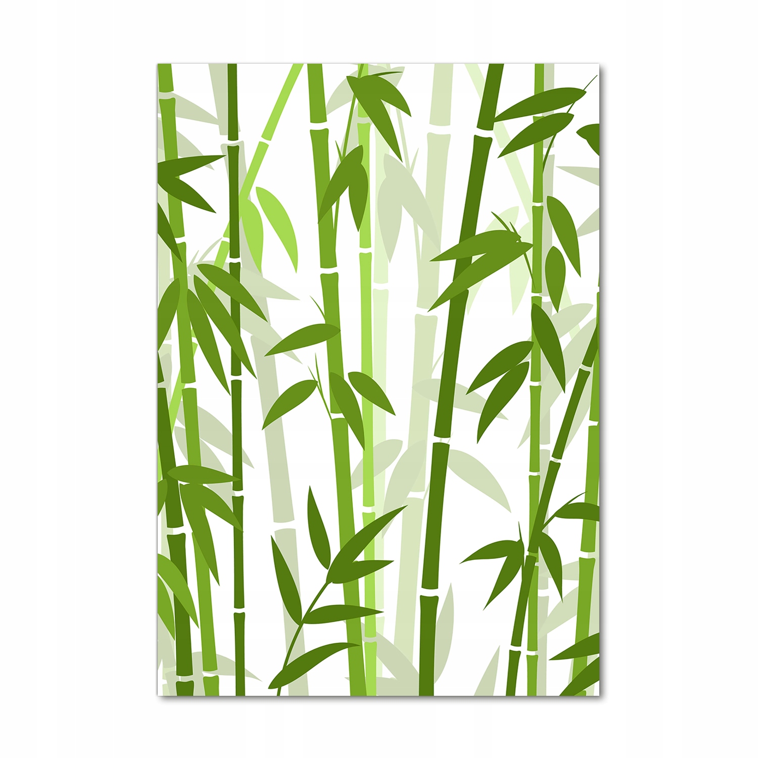 

Foto obraz szkło akrylowe na ścianę Bambus 70x100