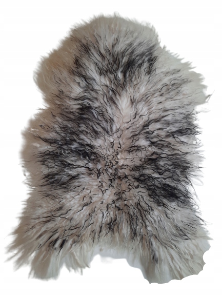 Ovčia koža Island Muflon Čierna 111-130 cm Kučeravá