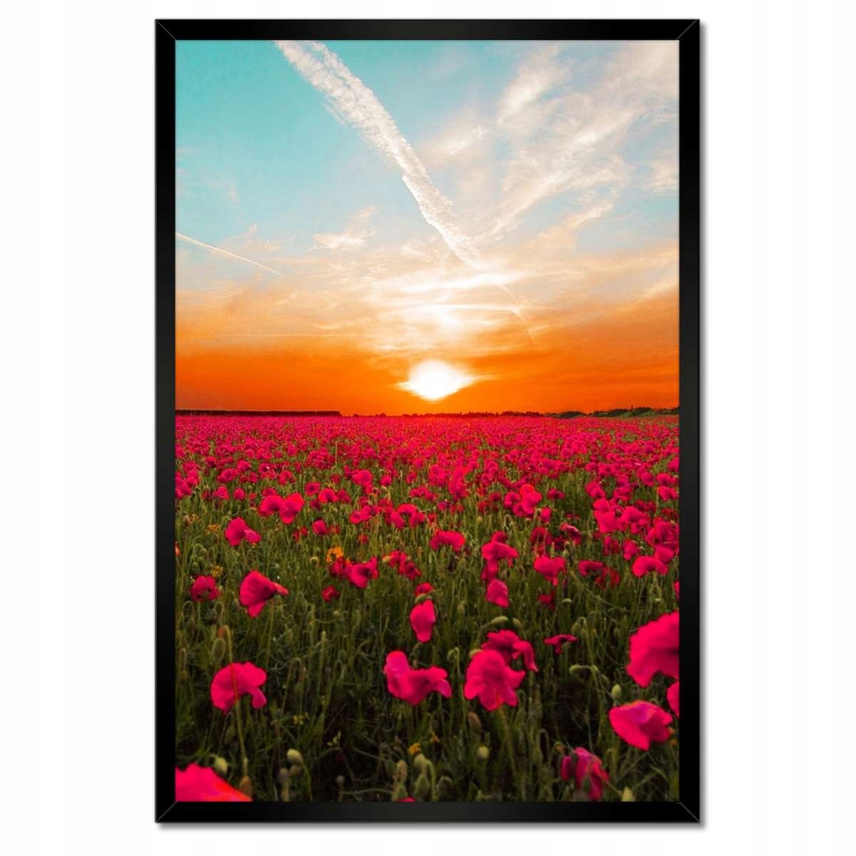 Plakáty v rámu 40x60 Růžové máky Západ slunce